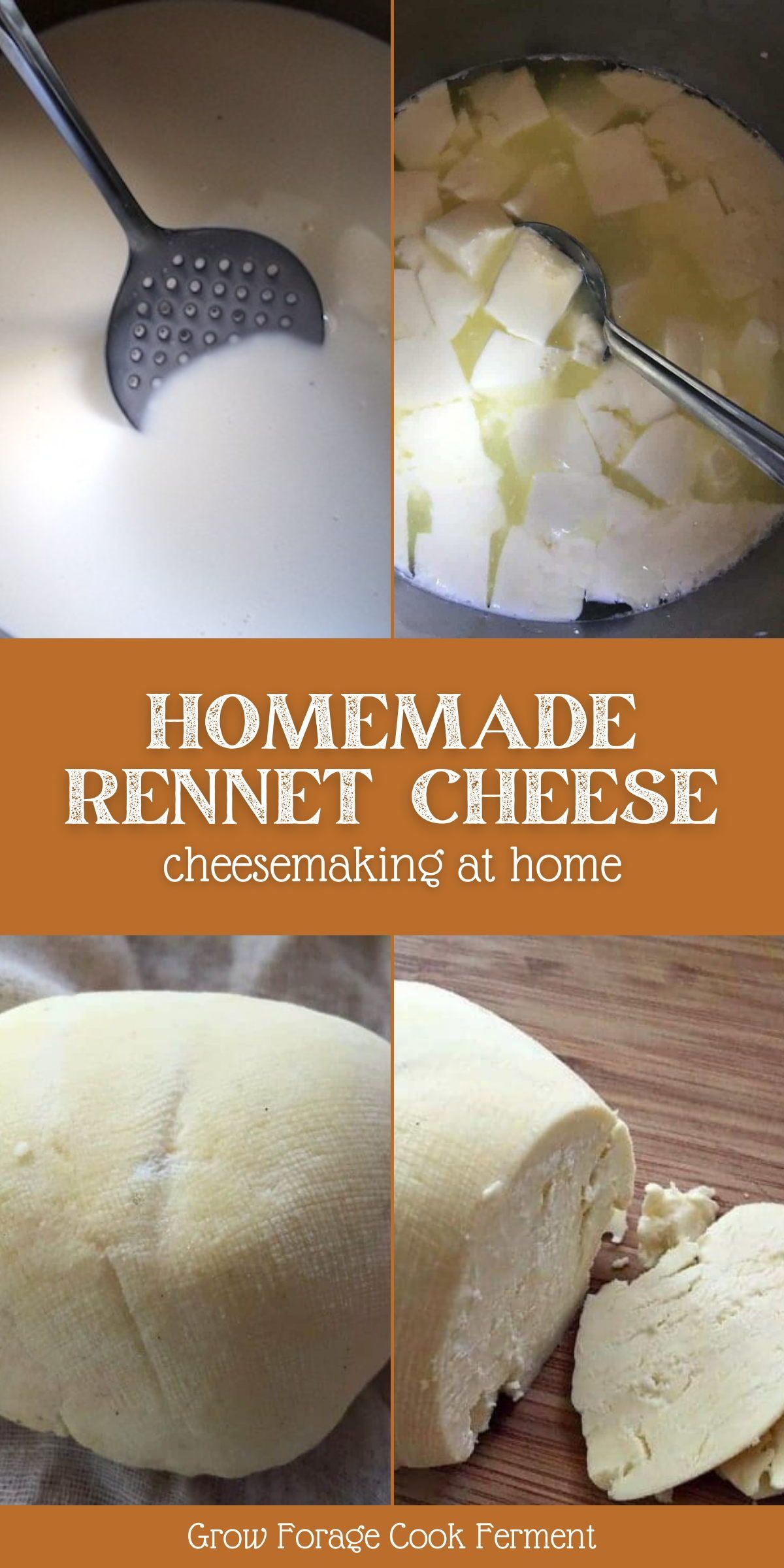 Simple Rennet Cheese Recipe Recipe Raw Milk Recipes Milk Recipes