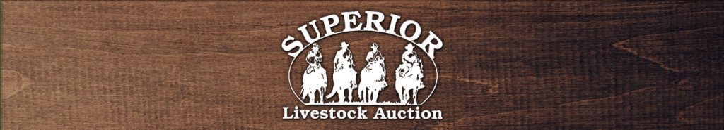 Superior Livestock Listings Premier Livestock Auctions Llc