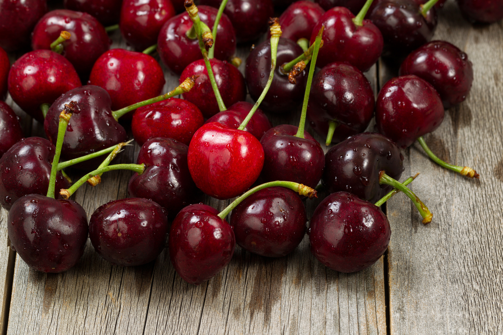 Tart Cherries Brecknock Orchard Llc Mohnton Lancaster County Pa