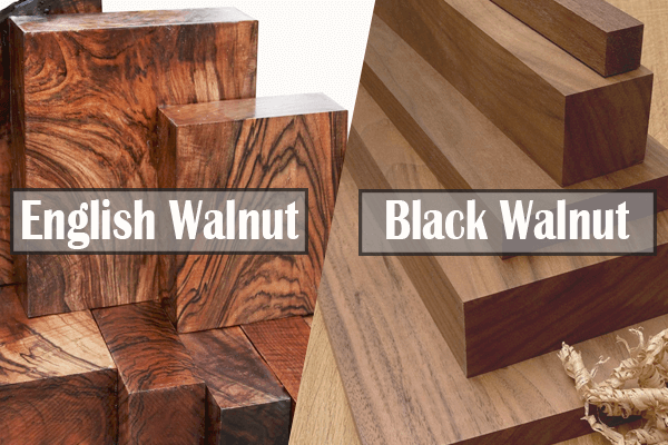 The Healthiest Type Of Walnut Black Vs English