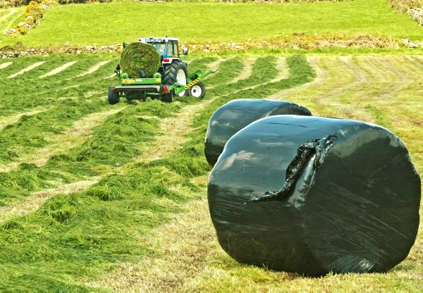 Tips And Tricks For Successful Baled Silage Country Guide