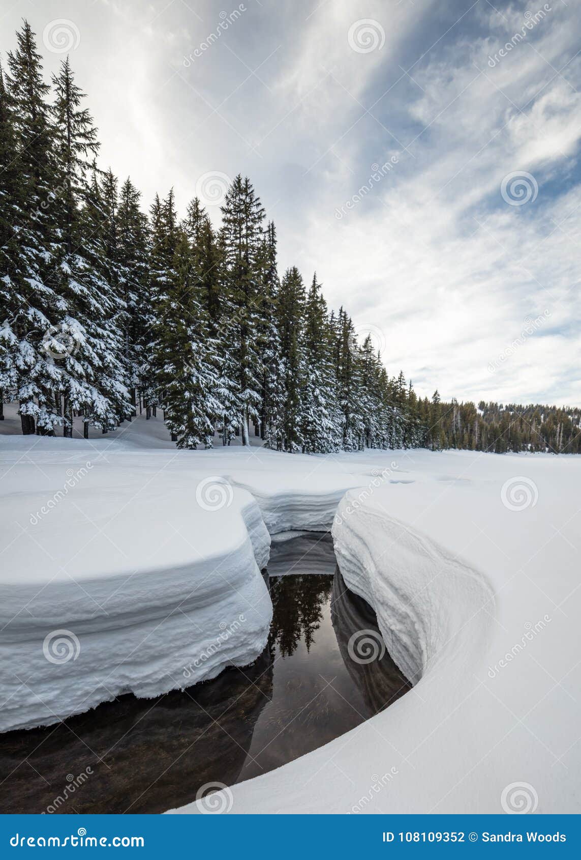 Todd Creek Near Todd Lake In Winter Deschutes National Forest Stock