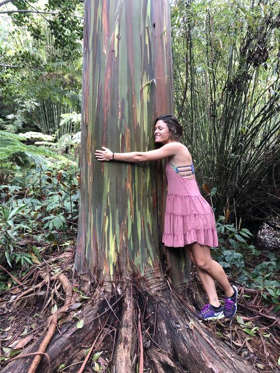 Tour Of Kona Cloud Forest Sanctuary Reveals Oasis Of Life Hawaii