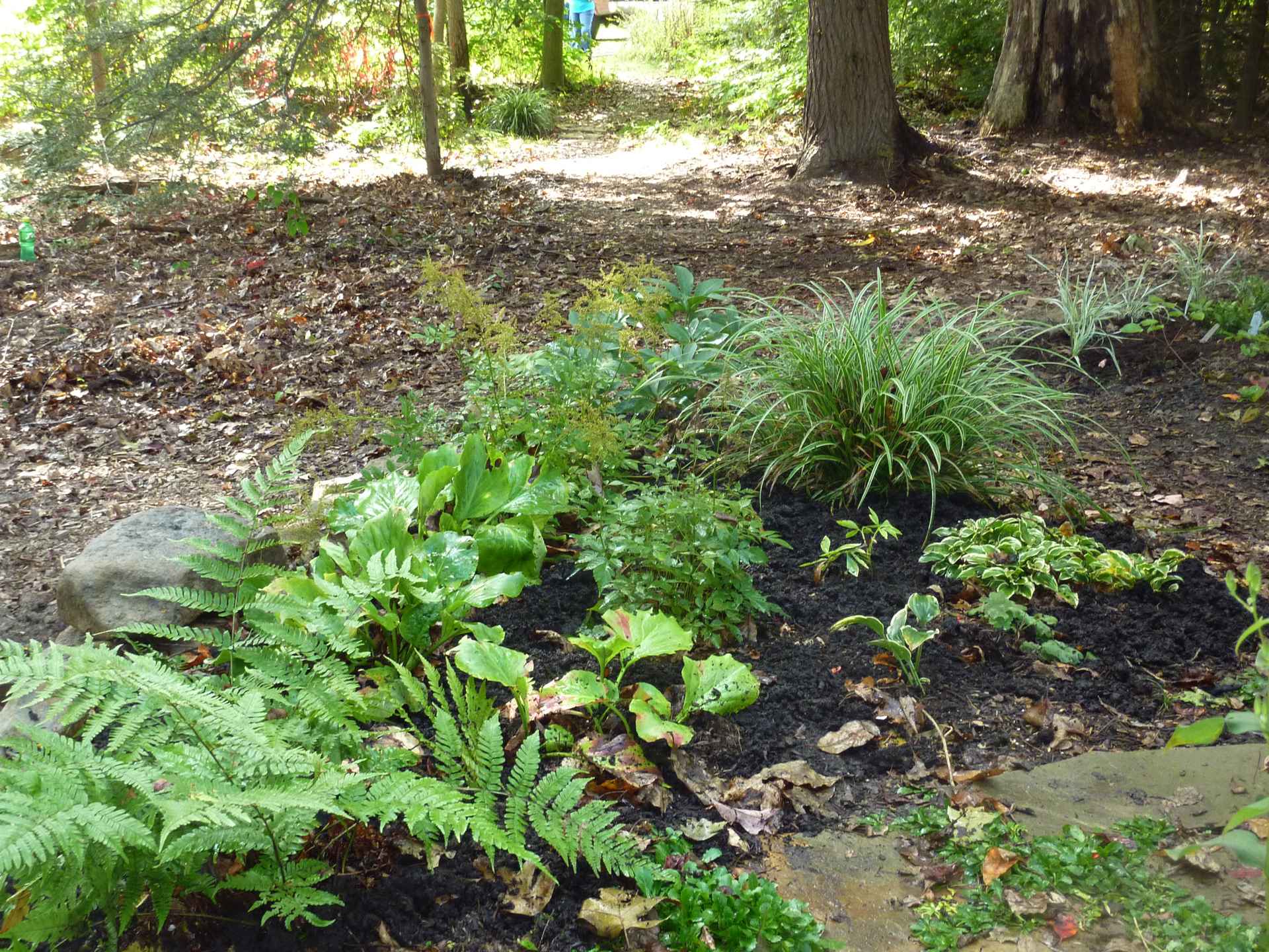 Trails West Virginia Botanic Garden