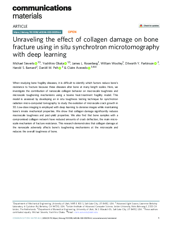 Unraveling The Effect Of Collagen Damage On Bone Fracture Using In Situ