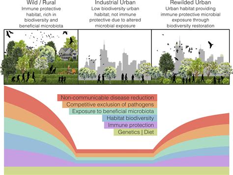 Urban Biodiversity Impacts In Ontario