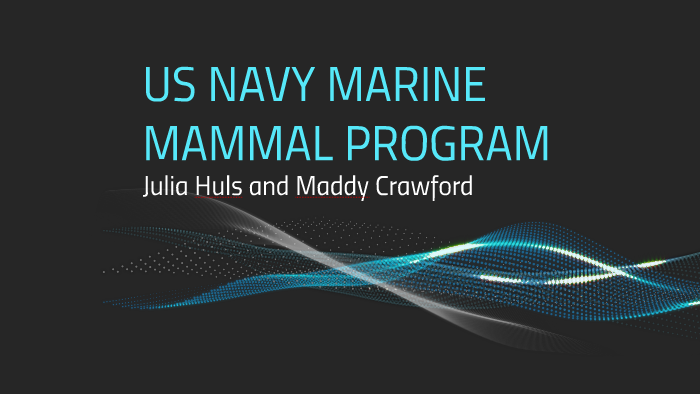 Us Navy Marine Mammal Program: Unlocking The Secrets Of Aquatic Intelligence