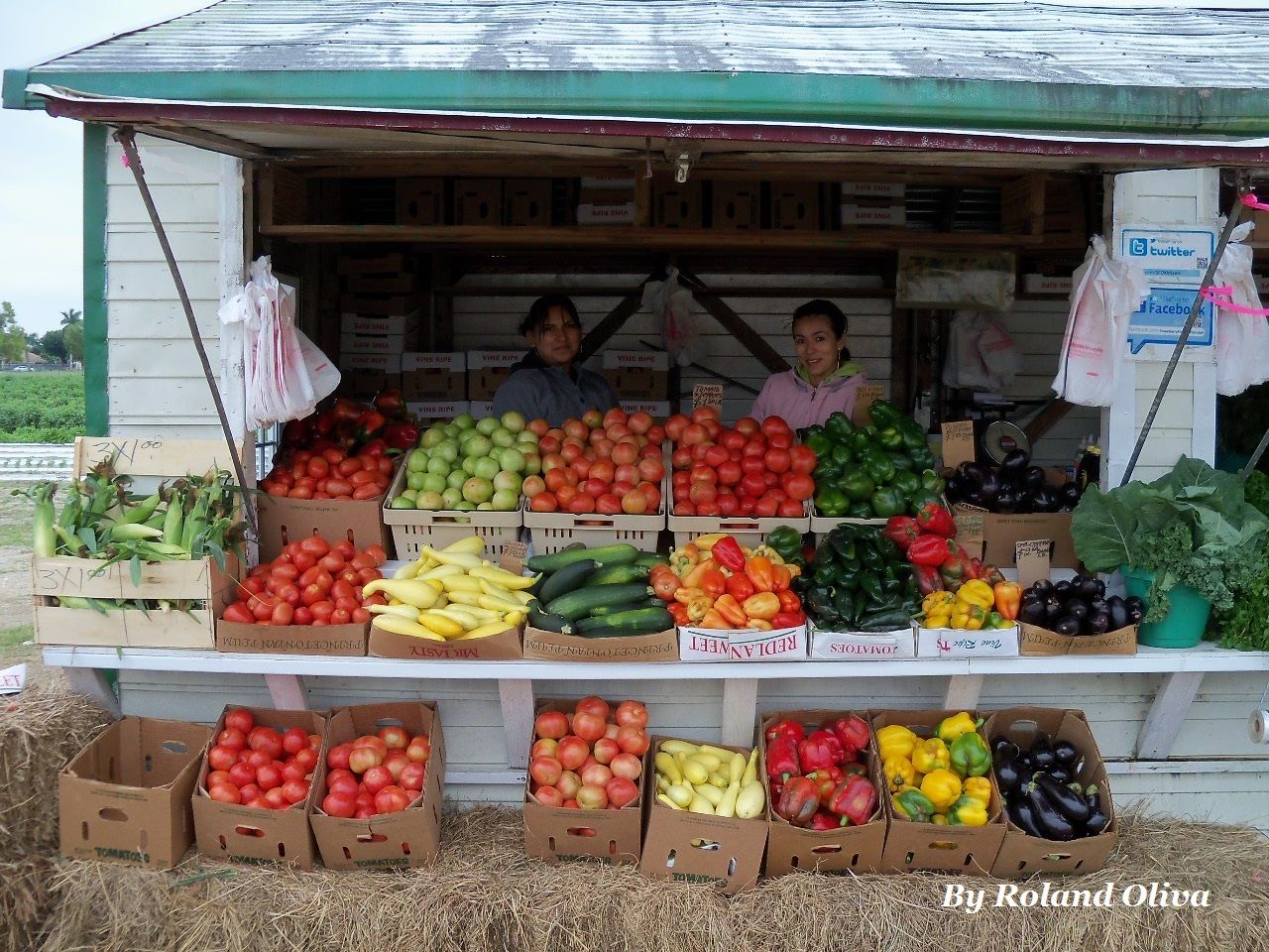 Vegetable Stands Near Me