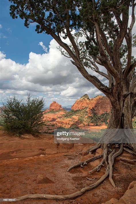 View Of The Red Rock Formations From Schnebly Hill Vista On Schnebly