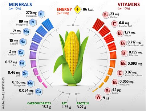 Vitamins And Minerals Of Corn Cob Ear Of Maize Nutrition Facts Stock