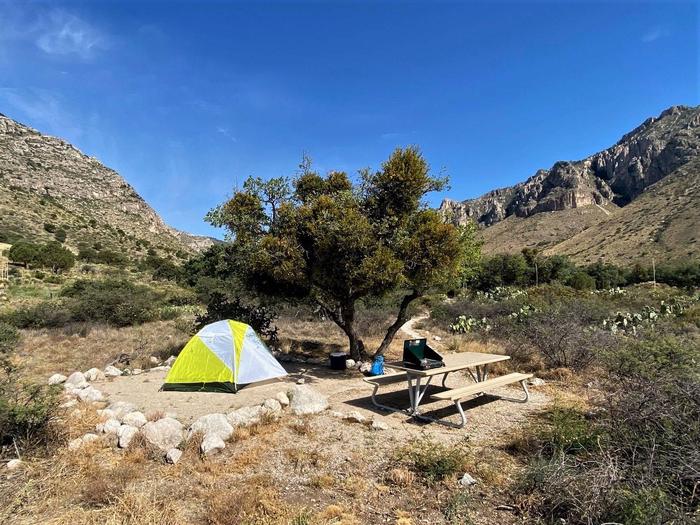 What Makes Pine Springs Campground Unique? Uncover The Secrets