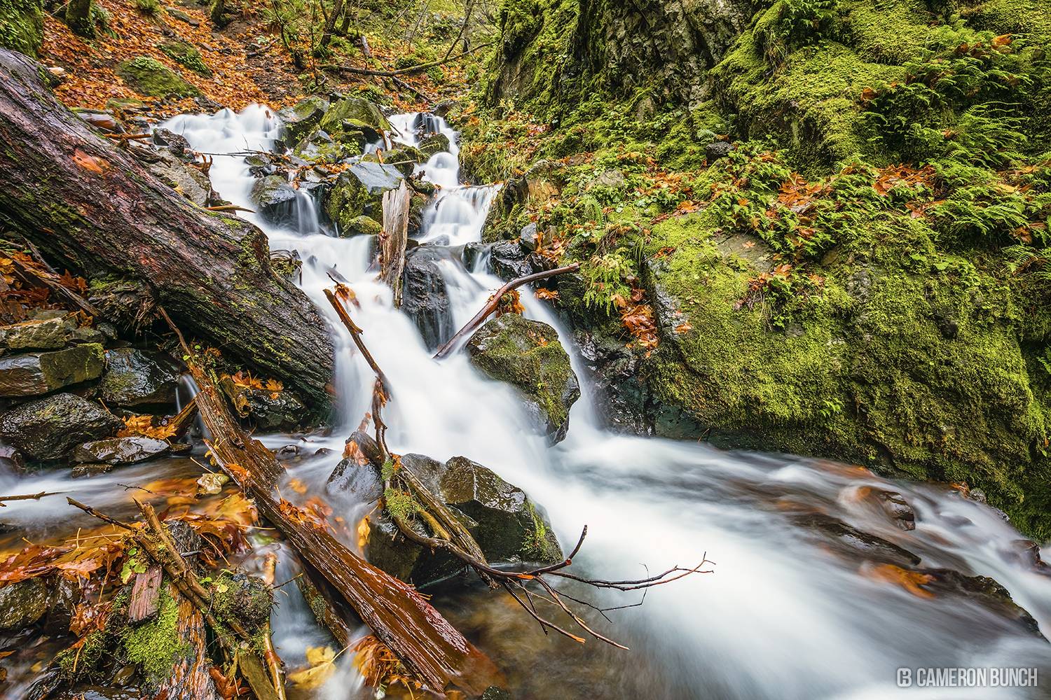 What Makes Starvation Creek Falls A Mustsee Natural Wonder?