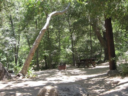 Wheeler Gorge Campground And Trail Ojai Los Padres Hikespeak Com