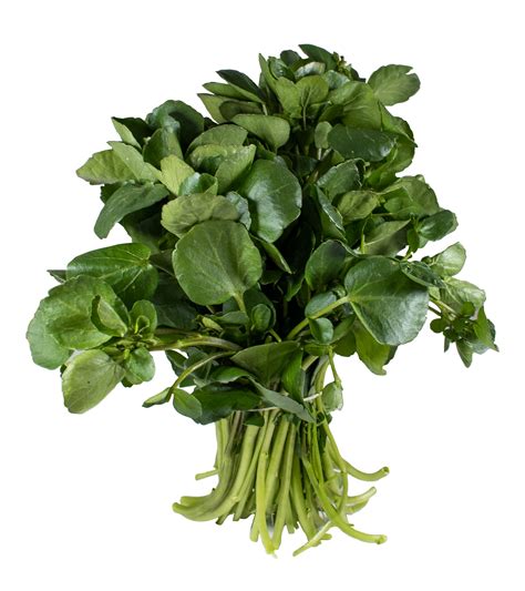 Where To Buy Watercress Health Recipes More