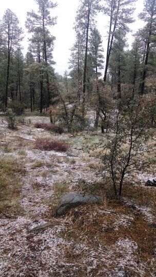 White Spar Campground Prescott National Forest Recreation Gov