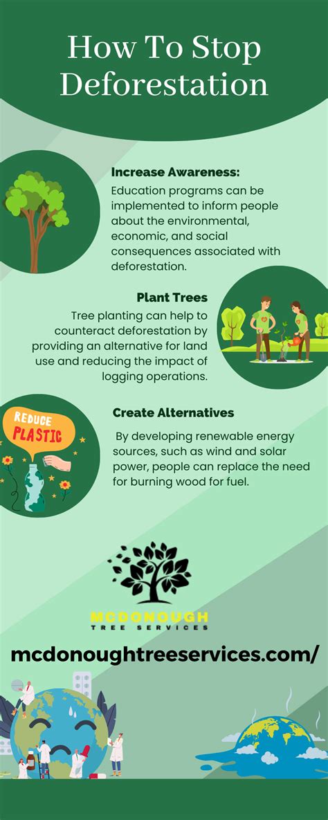 Why Are Gillette's Forests At Risk? Prevention Strategies Explained