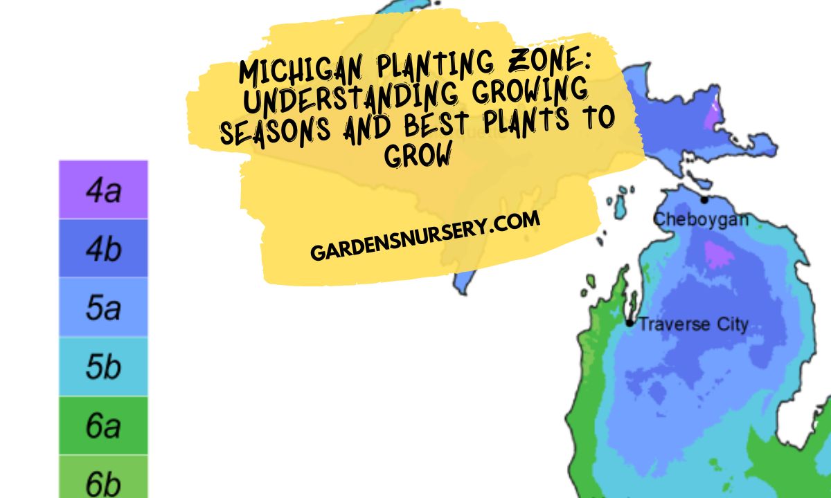 Why Are Grow Zone Maps Essential? Understanding Your Garden's Potential