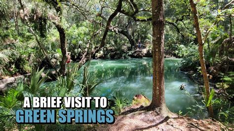 Why Visit Green Springs Park? A Nature Lover's Guide