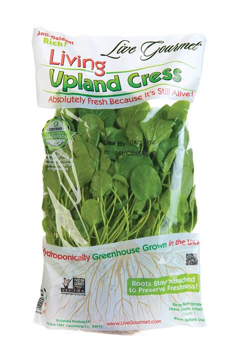 Why You Should Buy Upland Cress And Baby Watercress Instead Of Mature